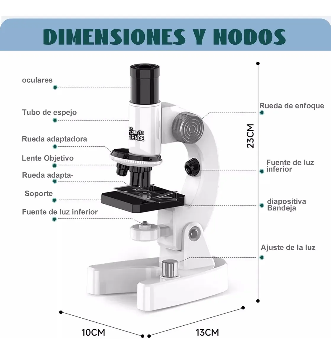 Microscopio Digital para Habilidades NEE y Exploración Educativa - Imagen 5